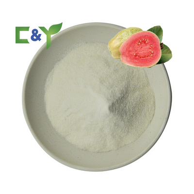 Factory direct sale fresh guava guava extract powder guava juice powder