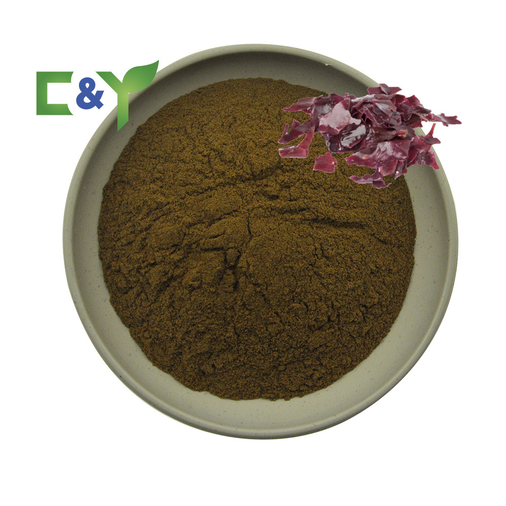 2022 Hot Sale Red Algae Powder, Dulse Seaweed Extract, Palmaria Palmata Extract