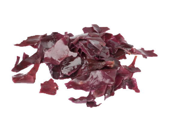 2022 Hot Sale Red Algae Powder, Dulse Seaweed Extract, Palmaria Palmata Extract