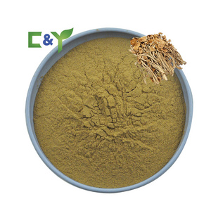 Manufacturers selling agrocybe aegerita extract/tea tree mushroom/agrocybe cylindracea powder