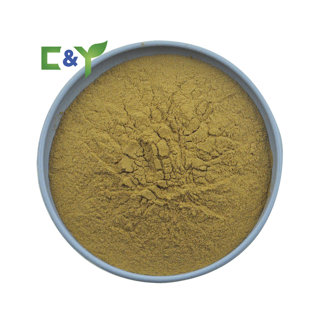 Manufacturers selling agrocybe aegerita extract/tea tree mushroom/agrocybe cylindracea powder