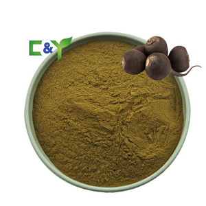 High quality black radish extract powder black radish juice powder