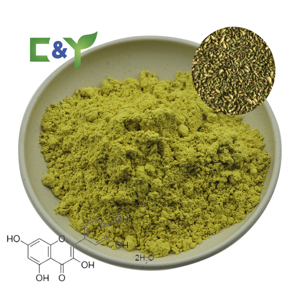 Factory Supply Natural quercetin with bromelain capsules quality sophora japonica extract 98% quercetin quercetin powder