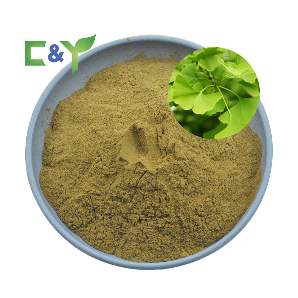 OEM private labels natural supplement ginkgo biloba extract capsules 10:1 20:1 ginkgo biloba leaf extract powder