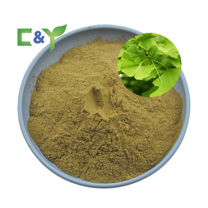 OEM private labels natural supplement ginkgo biloba extract capsules 10:1 20:1 ginkgo biloba leaf extract powder