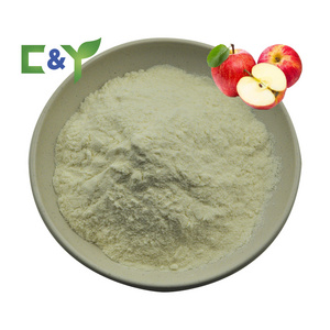 Instant buy apple fiber powder apple fruit powder green apple powder