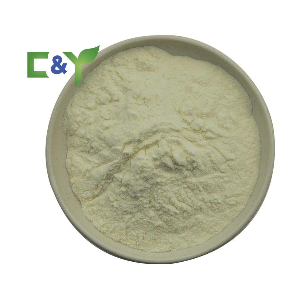 Instant buy apple fiber powder apple fruit powder green apple powder