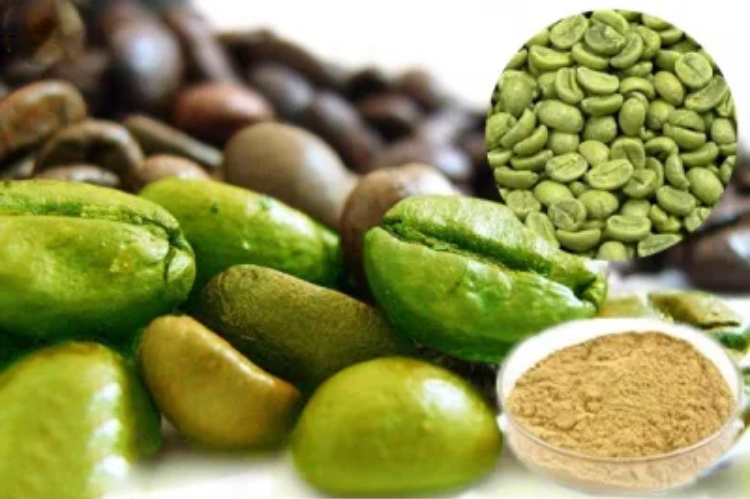 100% Pure Organic Green Coffee Bean Extract Powder For Lose Weight Private Label Coffee Latte Mate