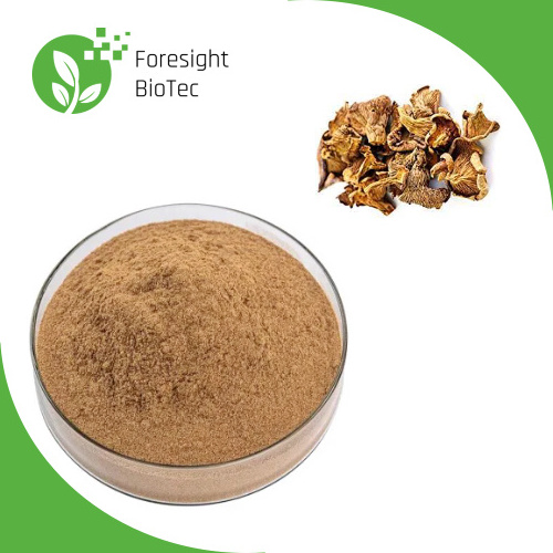 FST Biotec Wholesale Chanterelle Mushrooms Extract Bulk 10%-98% Chanterelle Mushroom Extract Powder