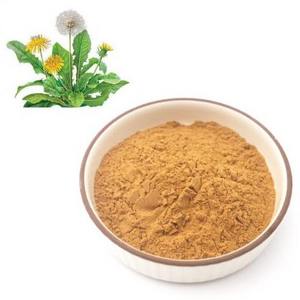 FST Biotec Organic Botanical Dandelion Root Extract Powder ISO/ORGANIC Certificate Dandelion Extract Powder