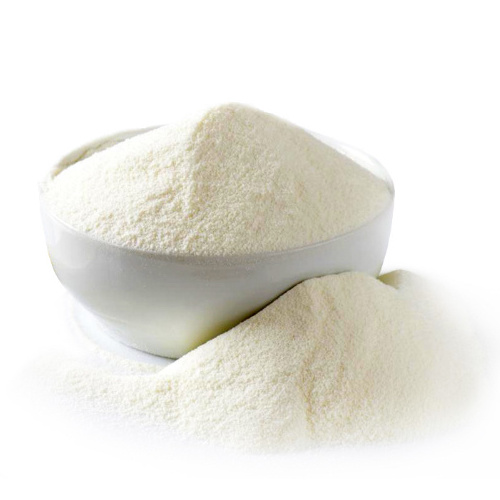 Dried Coconut Powder Wholesale Coconut Protein Powder For Ice Cream