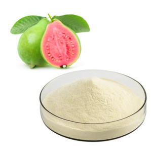 Freeze Dried  Type Guava Fruit Powder 100 % Pure Organic Guava Juice Extract Powder