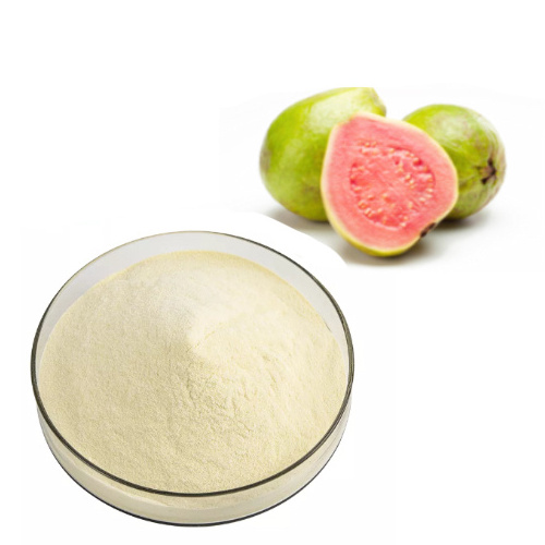 Freeze Dried  Type Guava Fruit Powder 100 % Pure Organic Guava Juice Extract Powder