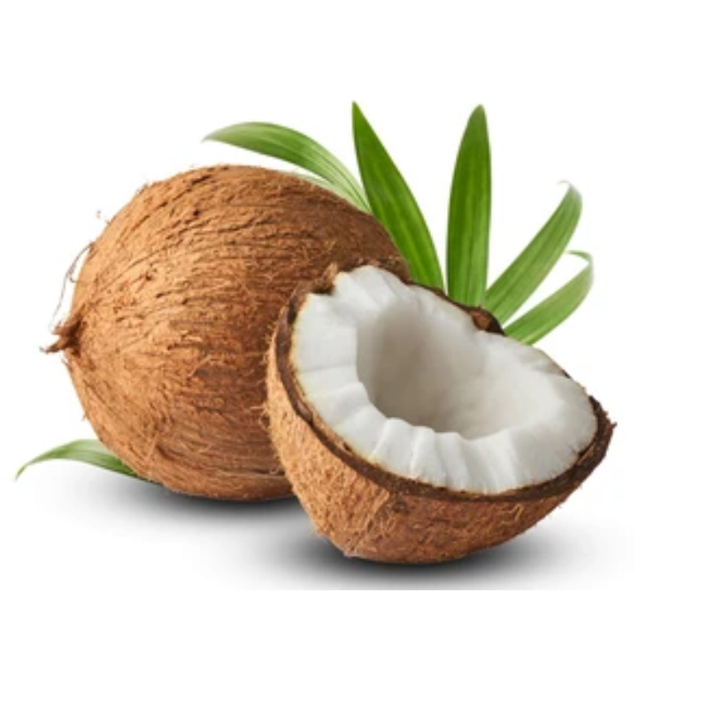 Dried Coconut Powder Wholesale Coconut Protein Powder For Ice Cream