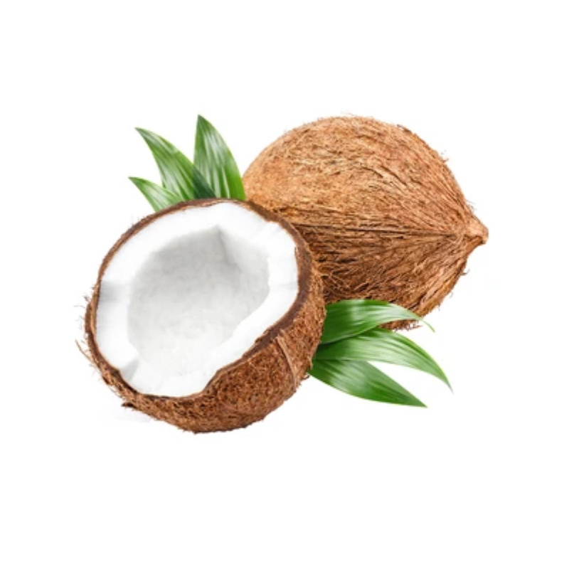 Dried Coconut Powder Wholesale Coconut Protein Powder For Ice Cream