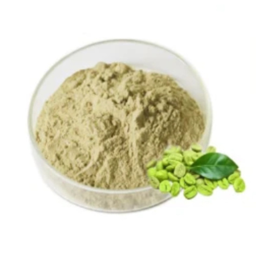 FST Biotec Wholesale Organic Green Coffee Bean Extract Powder Chlorogenic Acid