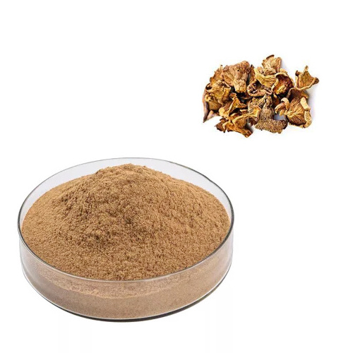 FST Biotec Wholesale Chanterelle Mushrooms Extract Bulk 10%-98% Chanterelle Mushroom Extract Powder