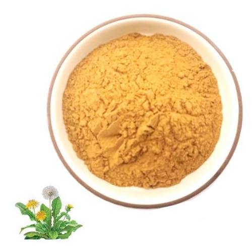 FST Biotec Organic Botanical Dandelion Root Extract Powder ISO/ORGANIC Certificate Dandelion Extract Powder