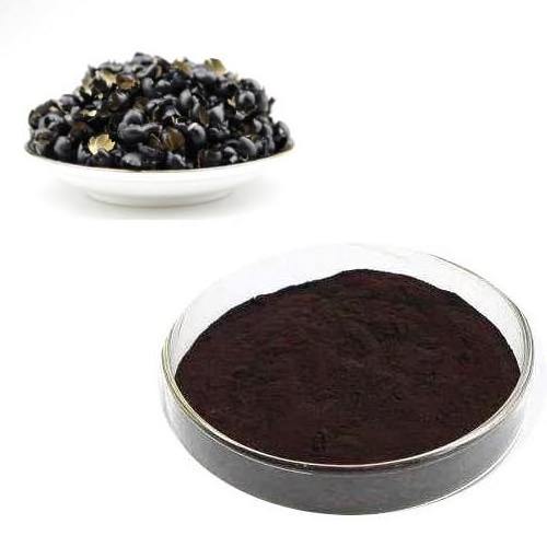 FST Biotec Food Grade Black Soybean Extract 5%-25% Anthocyanin Powder