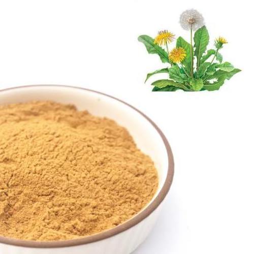 FST Biotec Organic Botanical Dandelion Root Extract Powder ISO/ORGANIC Certificate Dandelion Extract Powder