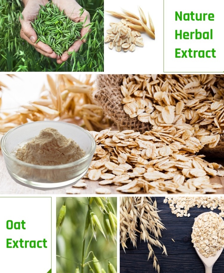 Wholesale Price Cosmetic Grade  Organic Oat Extract Powder 70% Oat Beta Glucan