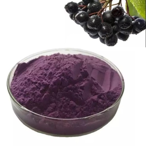 Supply 100% Pure Natural Poland Aronia Berry Powder and black Aronia Chokeberry Powder