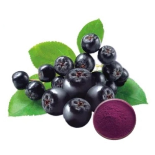 Supply 100% Pure Natural Poland Aronia Berry Powder and black Aronia Chokeberry Powder