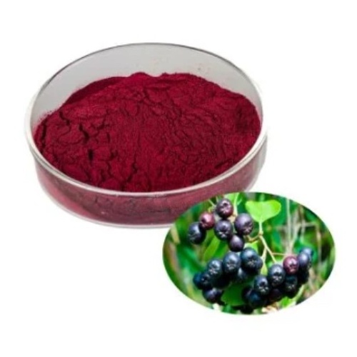 Supply 100% Pure Natural Poland Aronia Berry Powder and black Aronia Chokeberry Powder