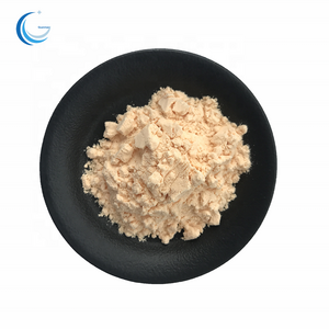 Natural docosahexaenoic acid dha algal oil schizochytrium dha bulk  powder