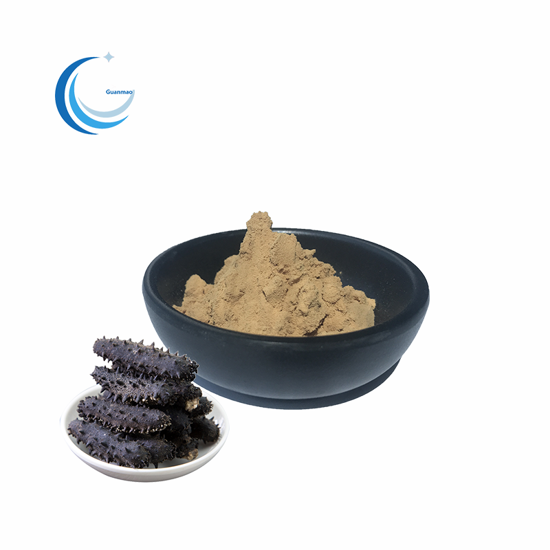 Factory Outlet The Best Pure Natural Food Grade Seed Sea Cucumber Extract Powder