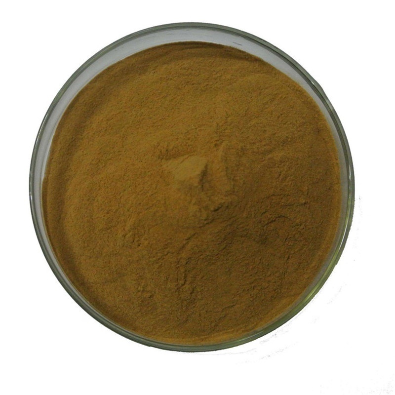 Brown algae extract powder High Quality brown seaweed extract powder