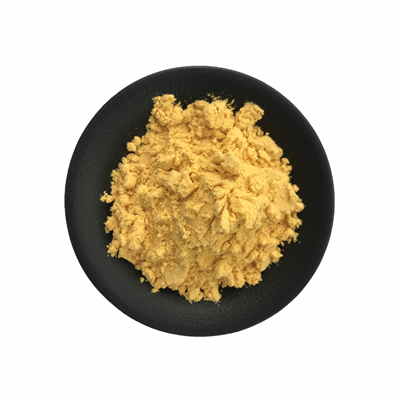 Brown algae extract powder High Quality brown seaweed extract powder