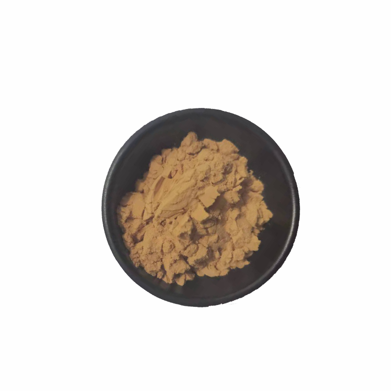 Factory Outlet The Best Pure Natural Food Grade Seed Sea Cucumber Extract Powder