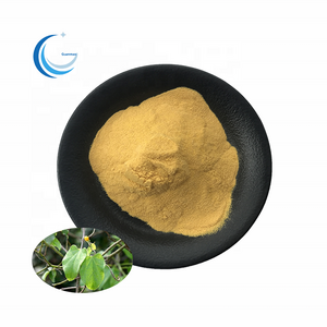 Pure Natural tinospora cordifolia extract powder with best price