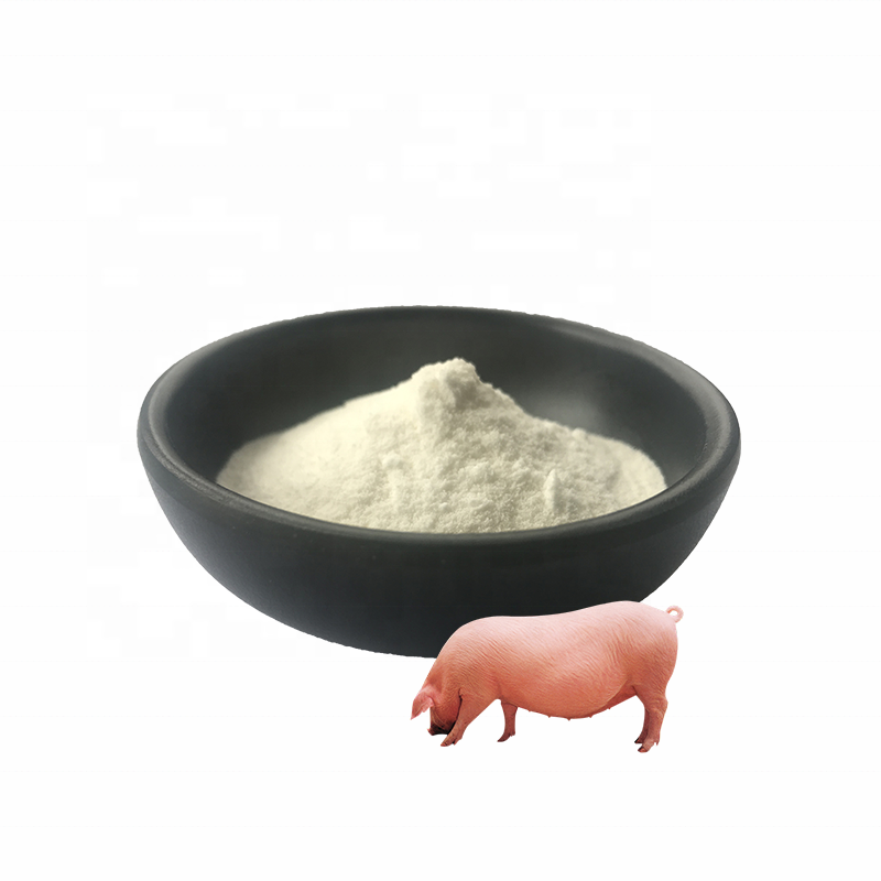 Factory Supply collagen Protein from pig skin hydrolyzed collagen powder