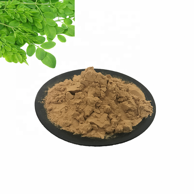 Pure natrual horseradish tree/Moringa extract powder