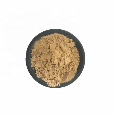 Pure natrual horseradish tree/Moringa extract powder