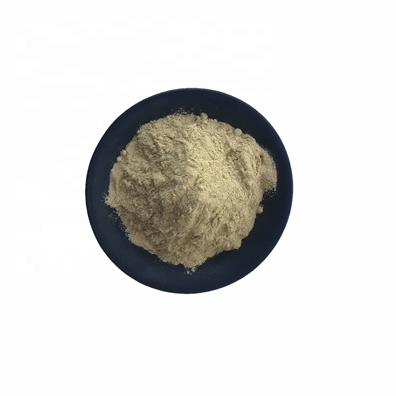 Pure Nature High Quality 30% Kavalactones Kava Root Extract Powder