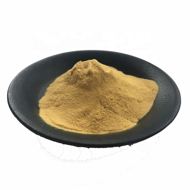 Pure Natural tinospora cordifolia extract powder with best price