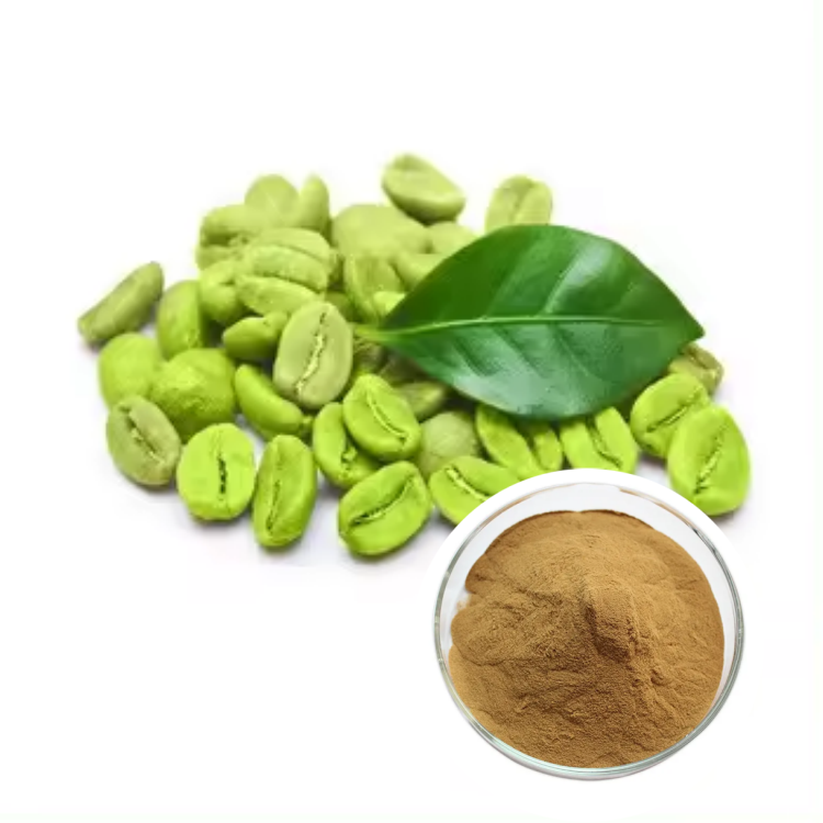 Hot Sales 50% chlorogenic acid green coffee bean extract powder for weight loss