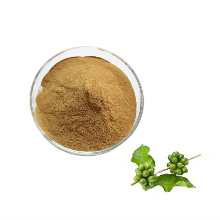 Wholesale Factory Price Green Coffee Bean Extract Powder Chlorogenic Acid Powder