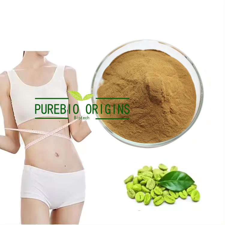 Wholesale Factory Price Green Coffee Bean Extract Powder Chlorogenic Acid Powder