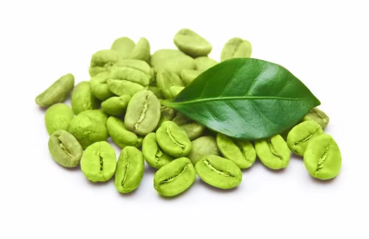 Hot Sales 50% chlorogenic acid green coffee bean extract powder for weight loss