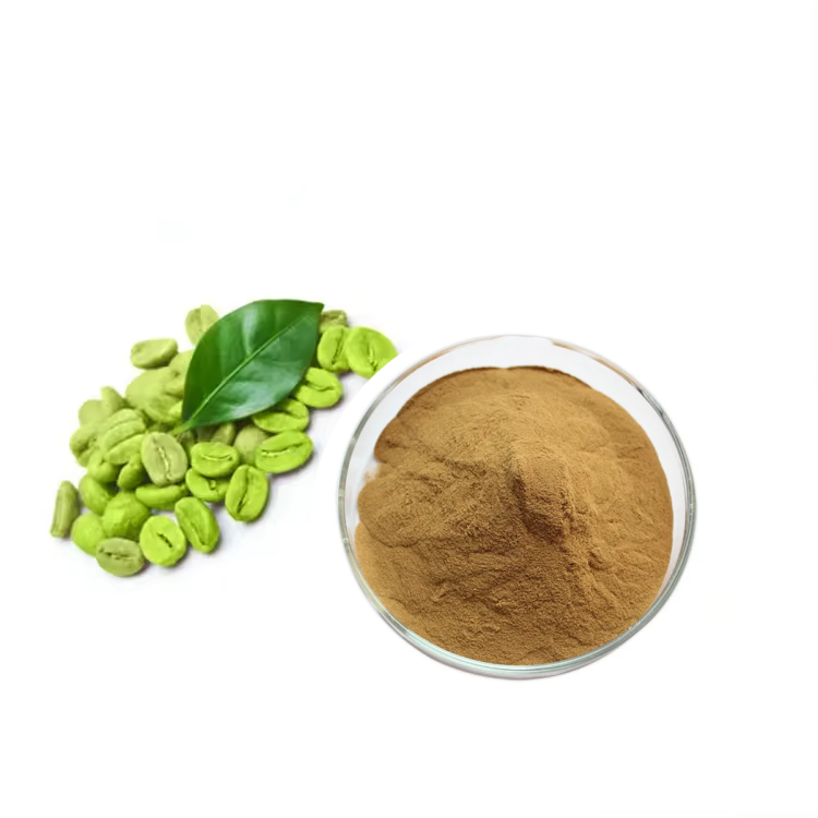 Hot Sales 50% chlorogenic acid green coffee bean extract powder for weight loss