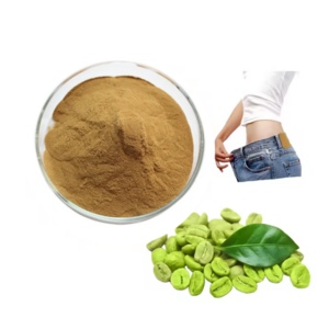 Natural Weight Loss Powder Green Coffee Bean Extract Chlorogenic Acid Powder 50%