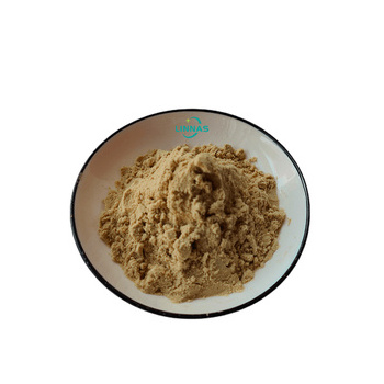 Supply St John's Wort Extract 0.3% Hypericin Hypericum Perforatum Extract Powder