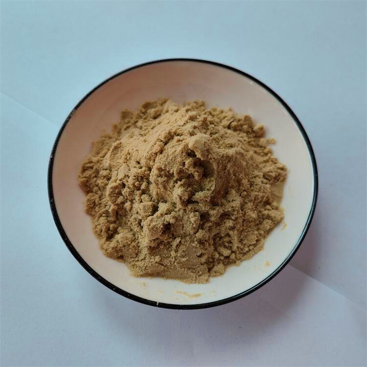 Supply St John's Wort Extract 0.3% Hypericin Hypericum Perforatum Extract Powder