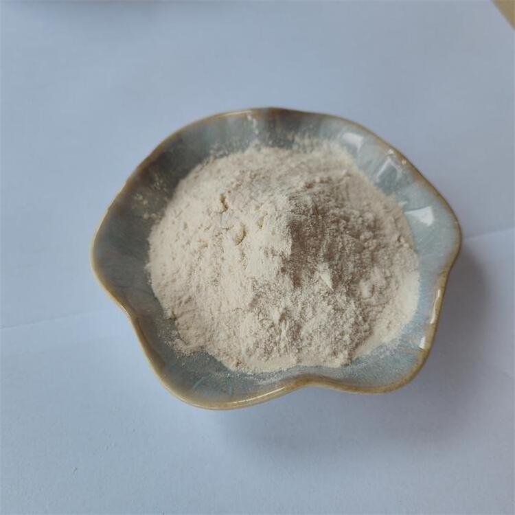 Health Care Aynsepalum Dulcificum Miracle Berry Extract 98% Miraculin Powder