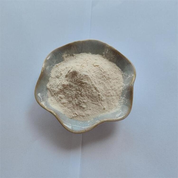 Health Care Aynsepalum Dulcificum Miracle Berry Extract 98% Miraculin Powder