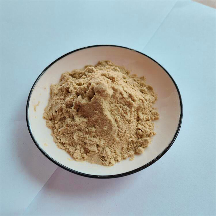 Supply St John's Wort Extract 0.3% Hypericin Hypericum Perforatum Extract Powder